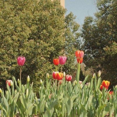 线上消费ETF平安（159793）涨2.72%，成交额29.70万元