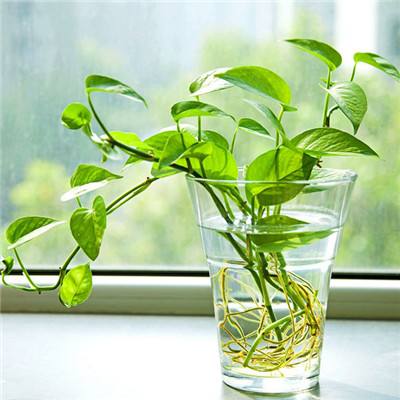 3.21电工节丨驭电无限，感谢每一...